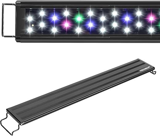 Aquarium Lighting for Freshwater vs. Saltwater Tanks