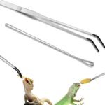 What Is The Best Way To Prevent Aquarium Accidents?