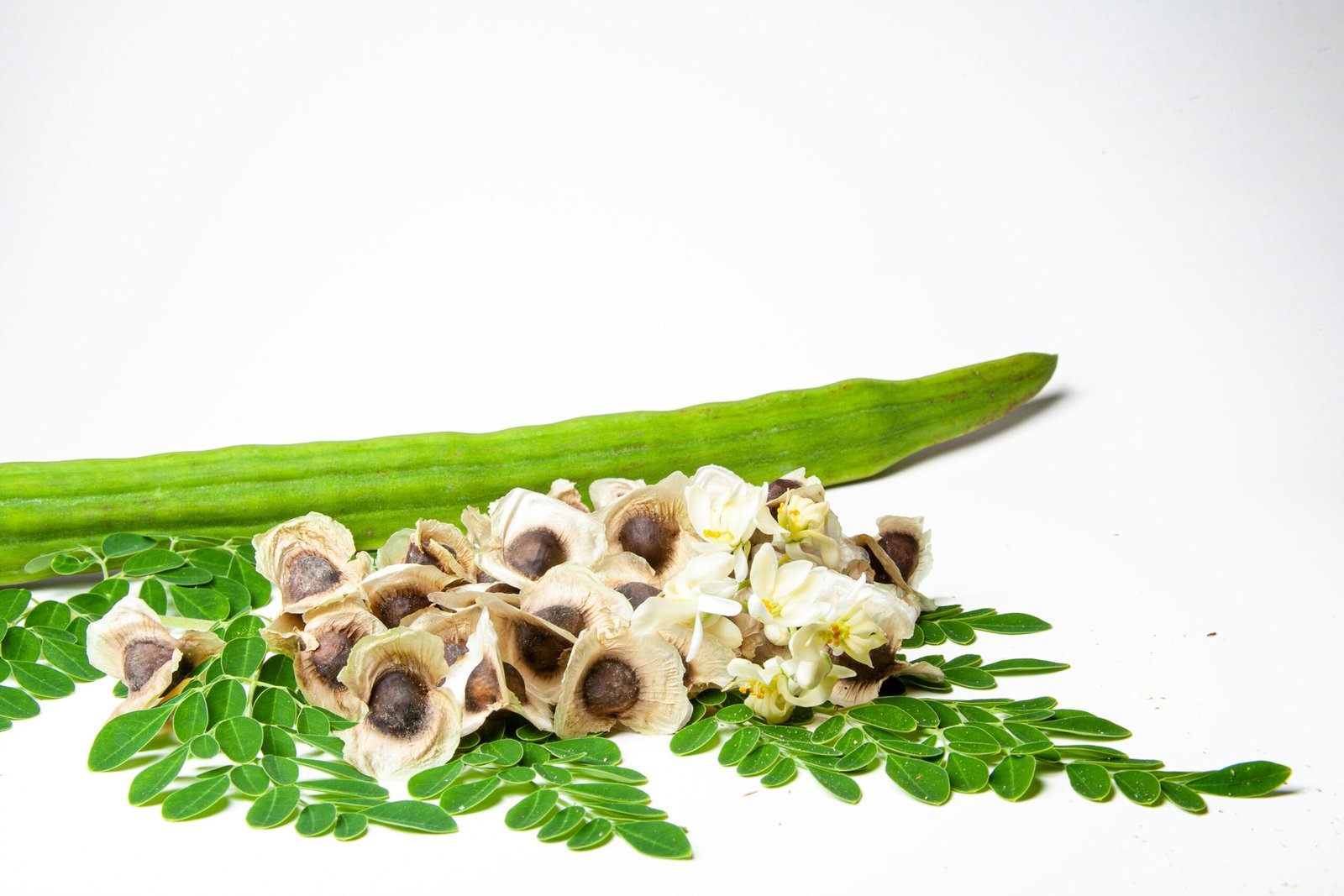 Can Moringa Help Reduce Cholesterol?