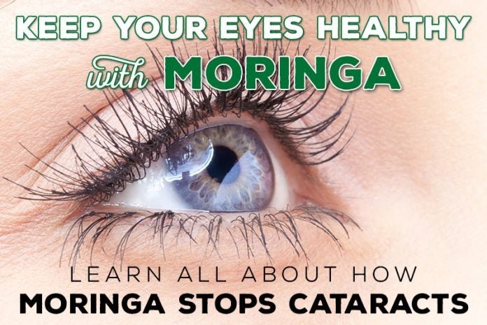 Can Moringa Improve Eye Health?