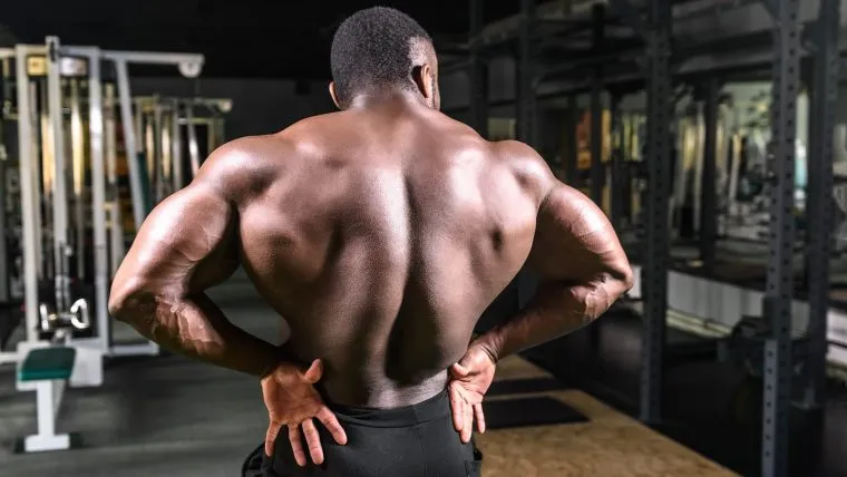 Chest-Supported Row vs. Bent-Over Row: Which Variation is Best for Building a Bigger Back?