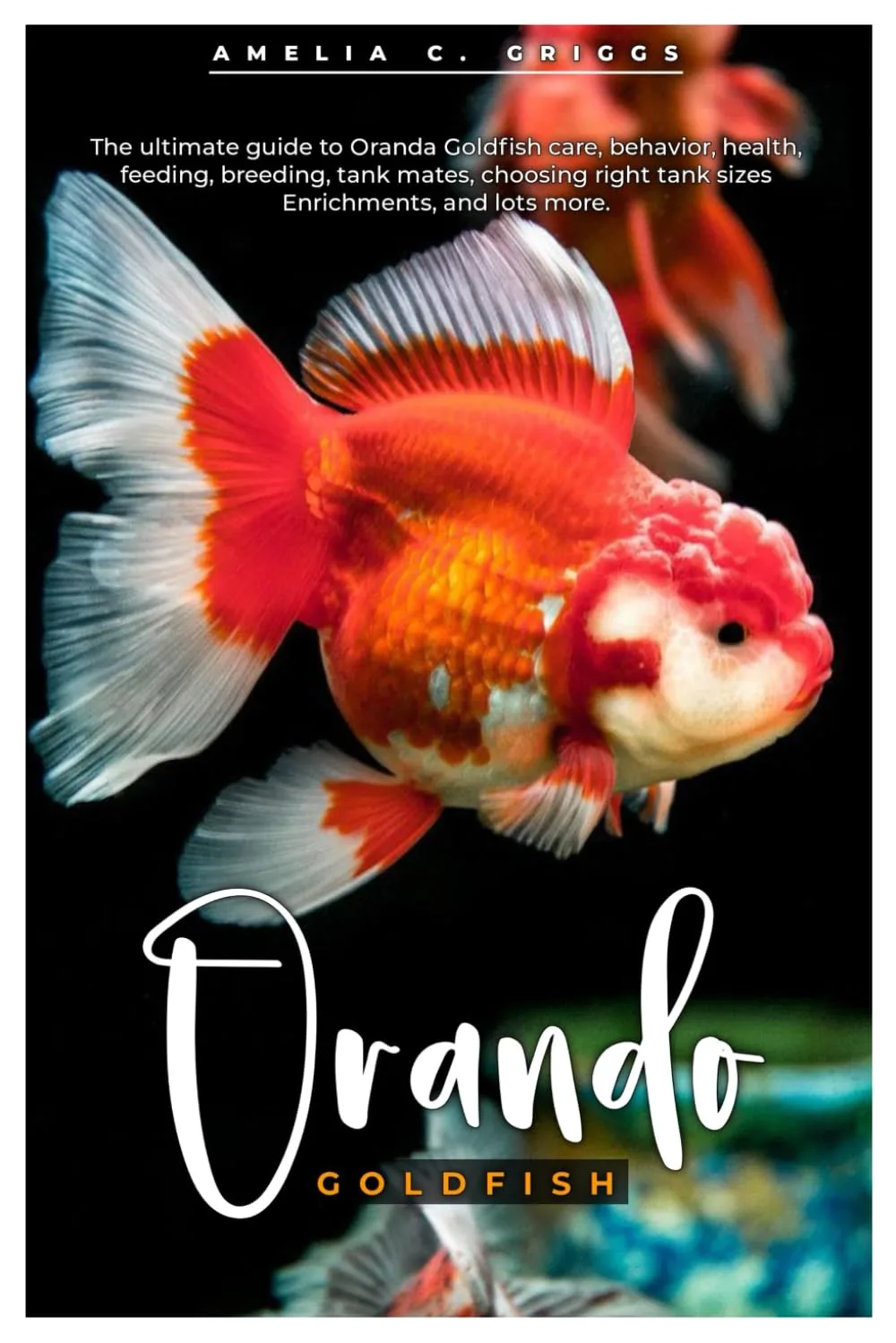 Choosing The Perfect Aquarium Size