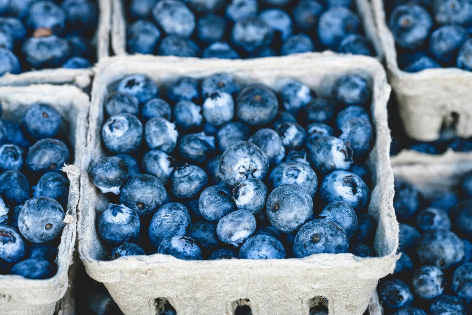 High-Fat, Low-Carb Foods for Effective Weight Loss