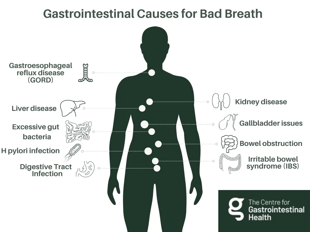 Identifying Stomach-Related Causes Of Bad Breath