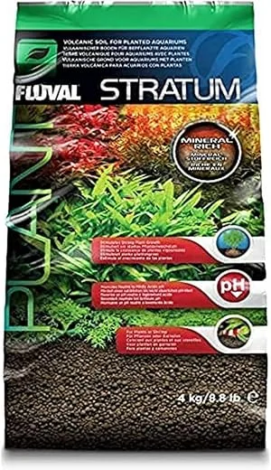The Importance Of Substrate Depth