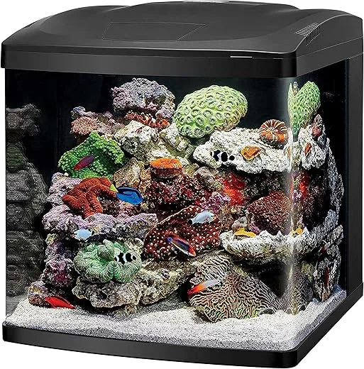 How To Maintain Water Quality In A Coralife Biocube Led Aquarium? How To Maintain Water Quality In A Coralife Biocube Led Aquarium?