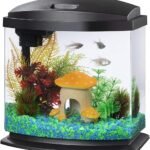 Maintaining Water Quality In Small Aquariums