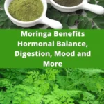Moringa: A Natural Remedy That Balances Hormones and Slows Aging