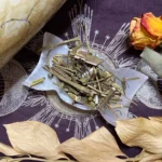 Moringa Witchcraft: The Invisible to Optimum Condition and Wellness