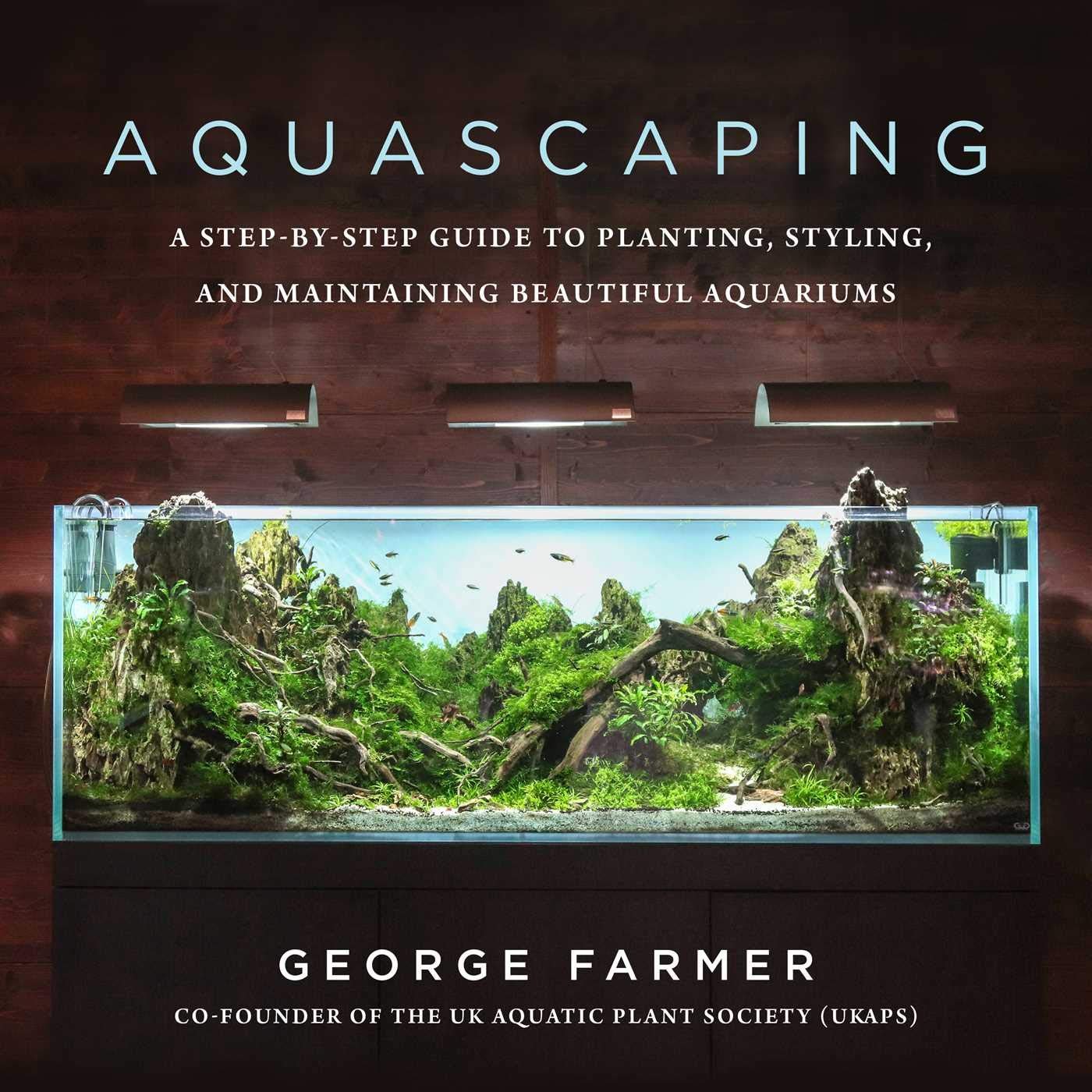 Saltwater Vs Freshwater Aquariums