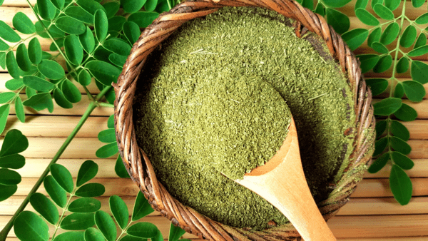 What are the Benefits of Moringa for Children?