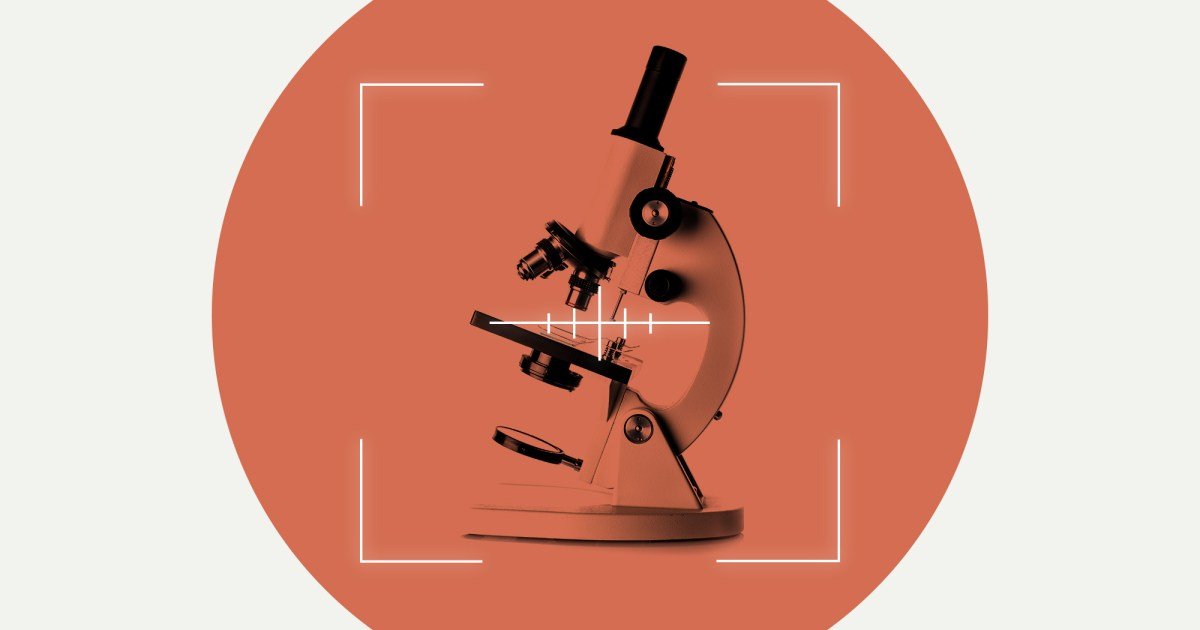 Researchers Worry About Their Jobs Under Trump 2.0 – Mother Jones