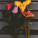 Exploring the Best Diet to Follow with Coffee