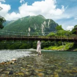 Exploring the FDA Approval Status of Nagano Tonic