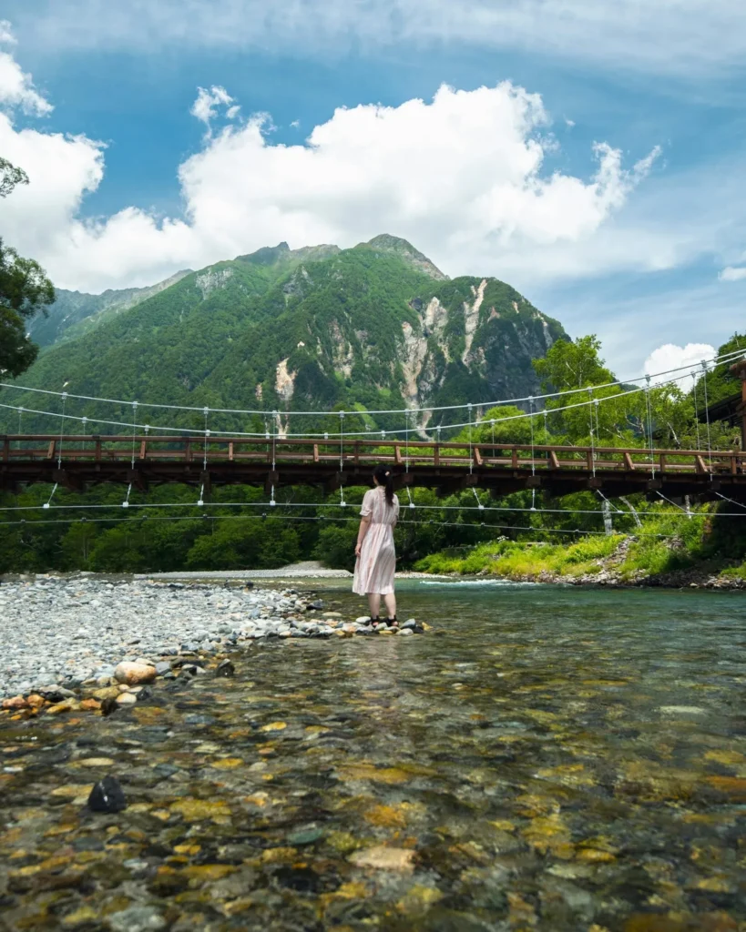 Exploring the FDA Approval Status of Nagano Tonic