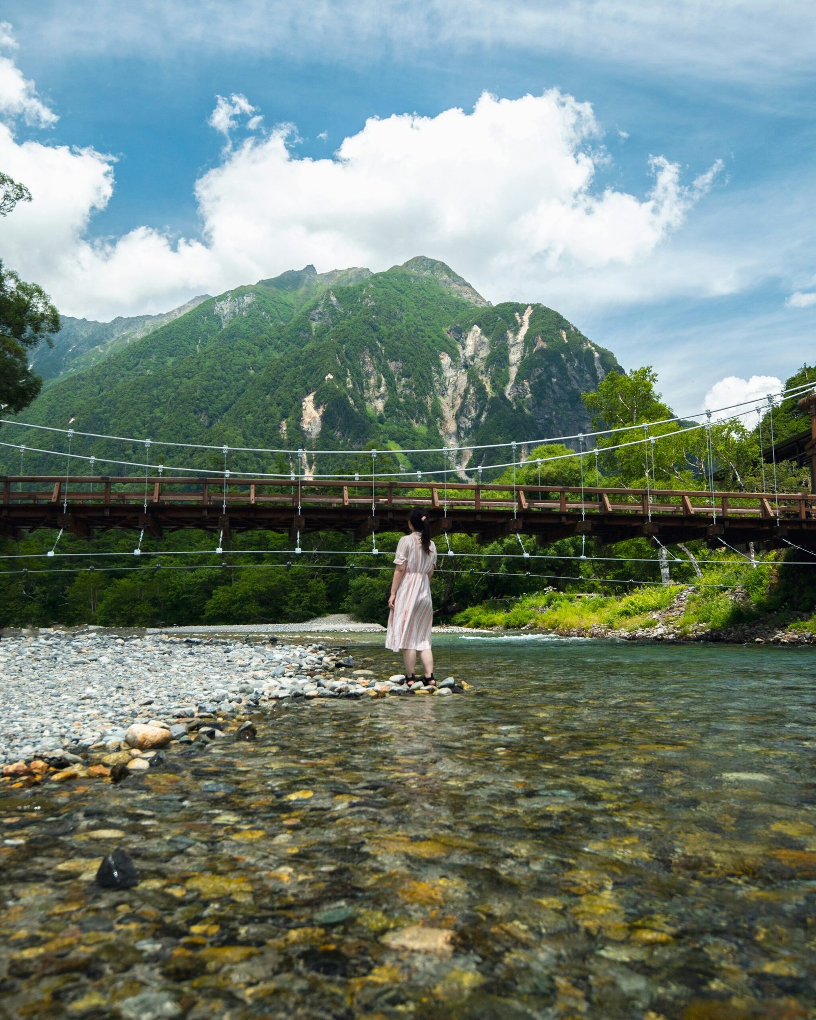 Exploring the FDA Approval Status of Nagano Tonic