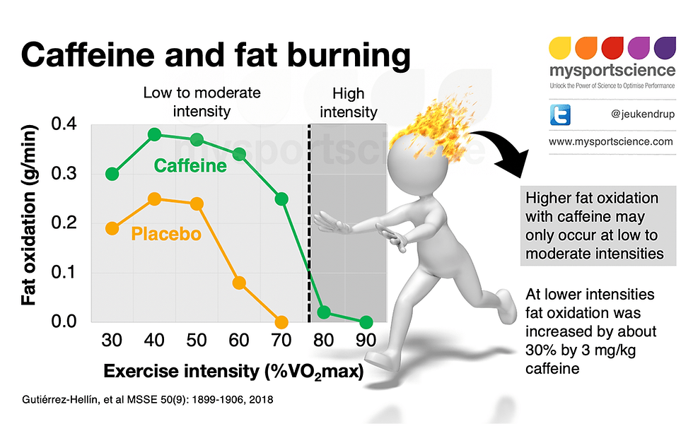 Exploring the Impact of Coffee on Fat Burning During Workouts