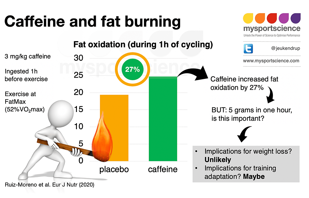 Exploring the Impact of Coffee on Fat Burning During Workouts