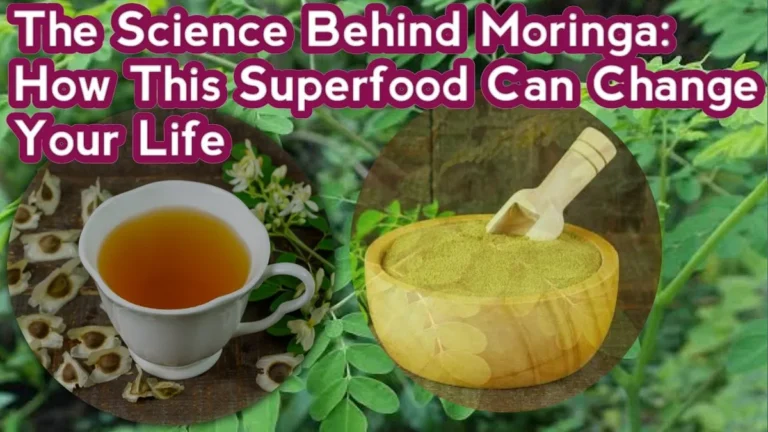 Revel in the Energy of Moringa: Change into Your Condition and Wellbeing
