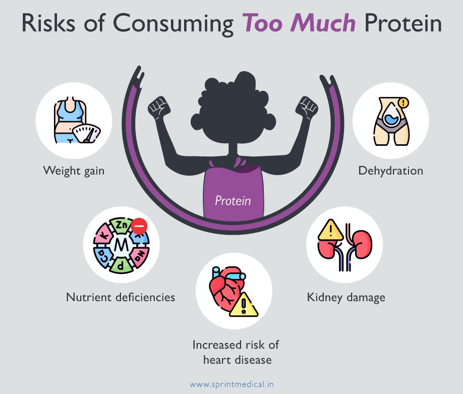 The Consequences of Eating Too Little Protein