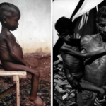 The Consequences of Eating Too Little Protein