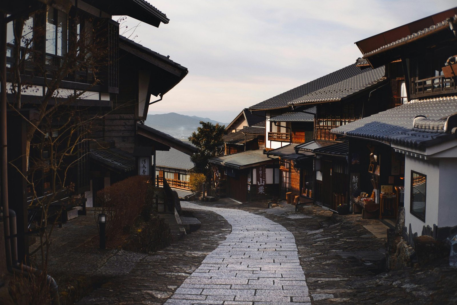 Understanding the Timeframe for Results with Nagano Tonic