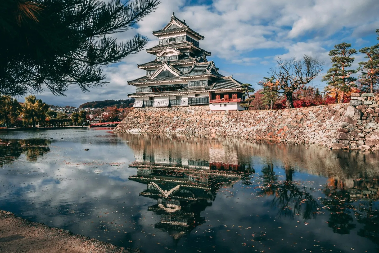 Understanding The Timeframe For Results With Nagano Tonic