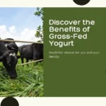 Grass-Fed Yogurt Benefits: Why It’s Healthier, Better, and Worth the Hype