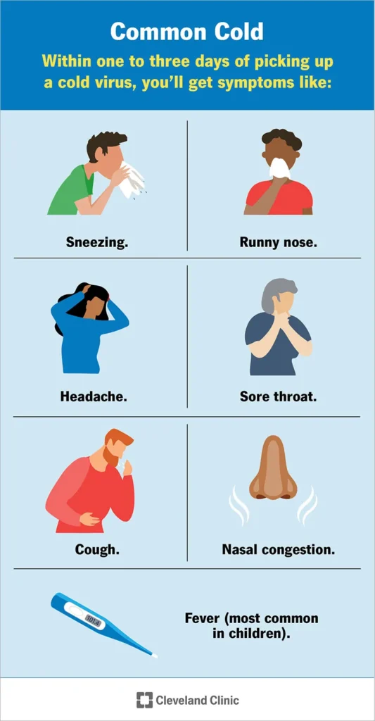 The 3 Best Ways To Prevent Yourself From Getting Common Sicknesses