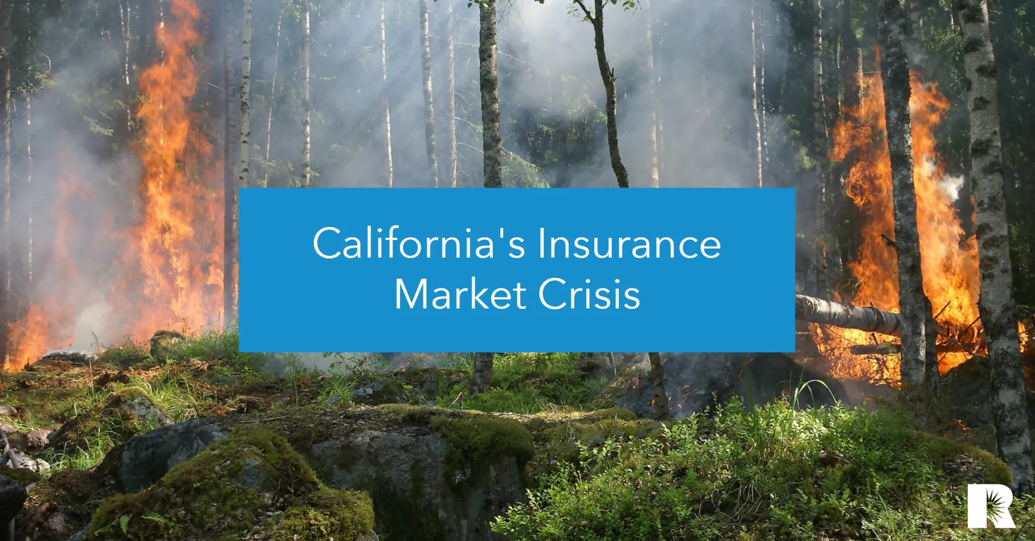 The Insurance Crisis That Will Follow The California Fires