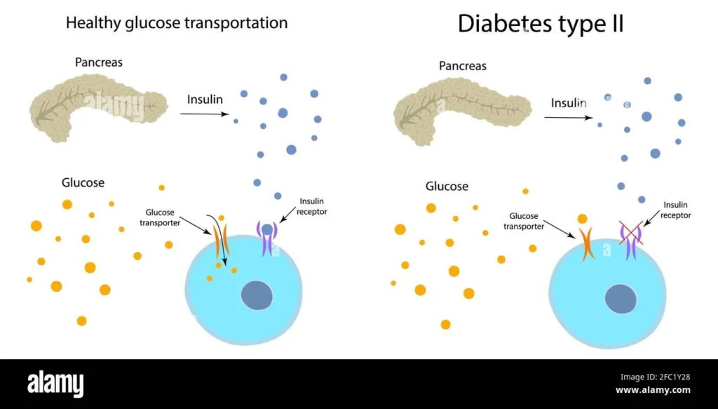 Unlocking the Power of Sugar Metabolism Support: How It Can Benefit Your Health