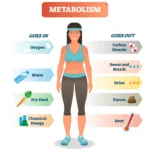 10 Proven Ways to Burn Calories Faster and Boost Your Metabolism