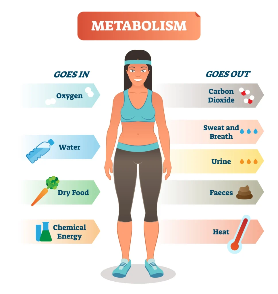 10 Proven Ways to Burn Calories Faster and Boost Your Metabolism