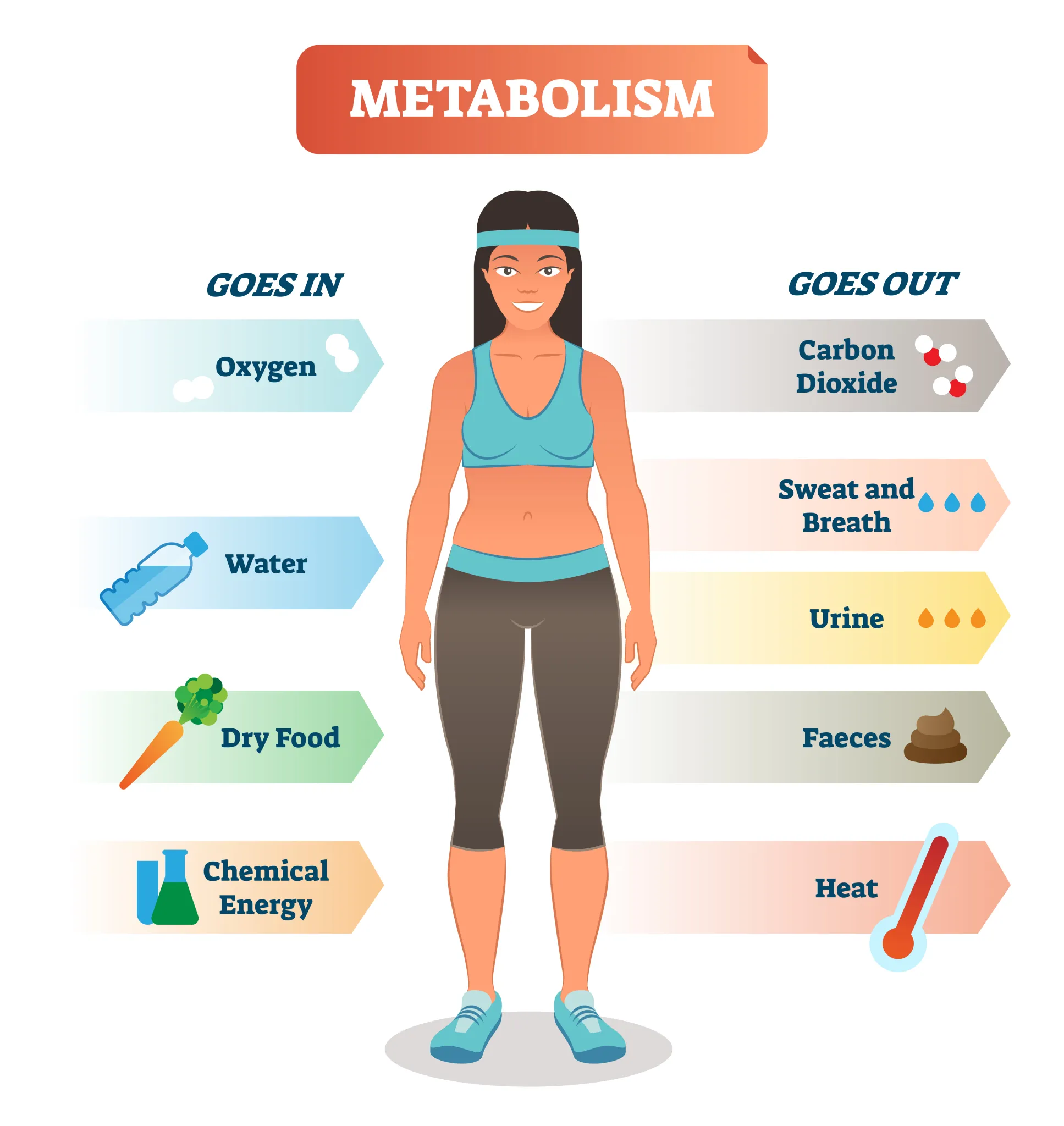 10 Proven Ways To Burn Calories Faster And Boost Your Metabolism