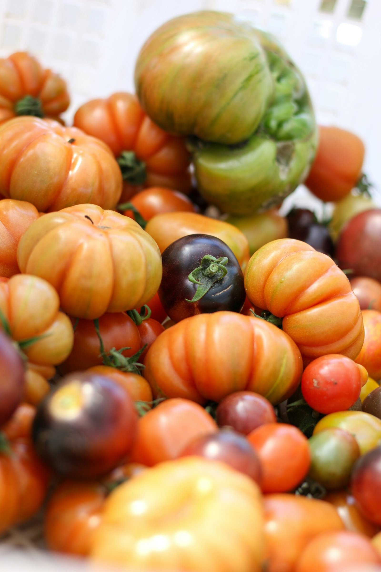 How Antioxidants in Mitolyn Enhance Overall Immunity