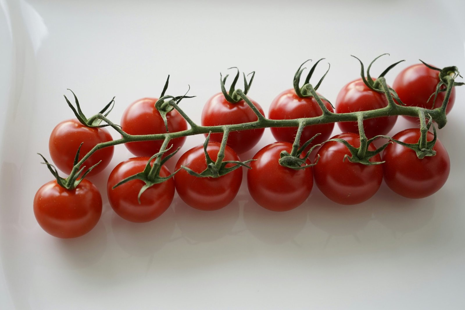 How Antioxidants in Mitolyn Enhance Overall Immunity