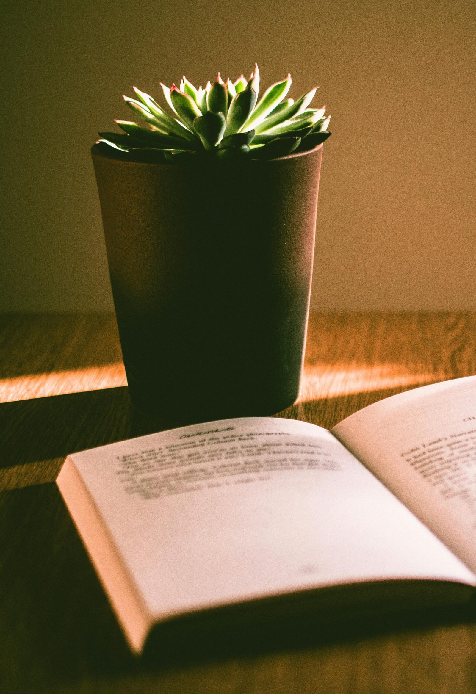 First International Literary Competition - Conference Named After Dmitry Ogma