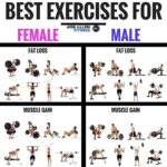 The Best Workouts for Rapid Fat Loss