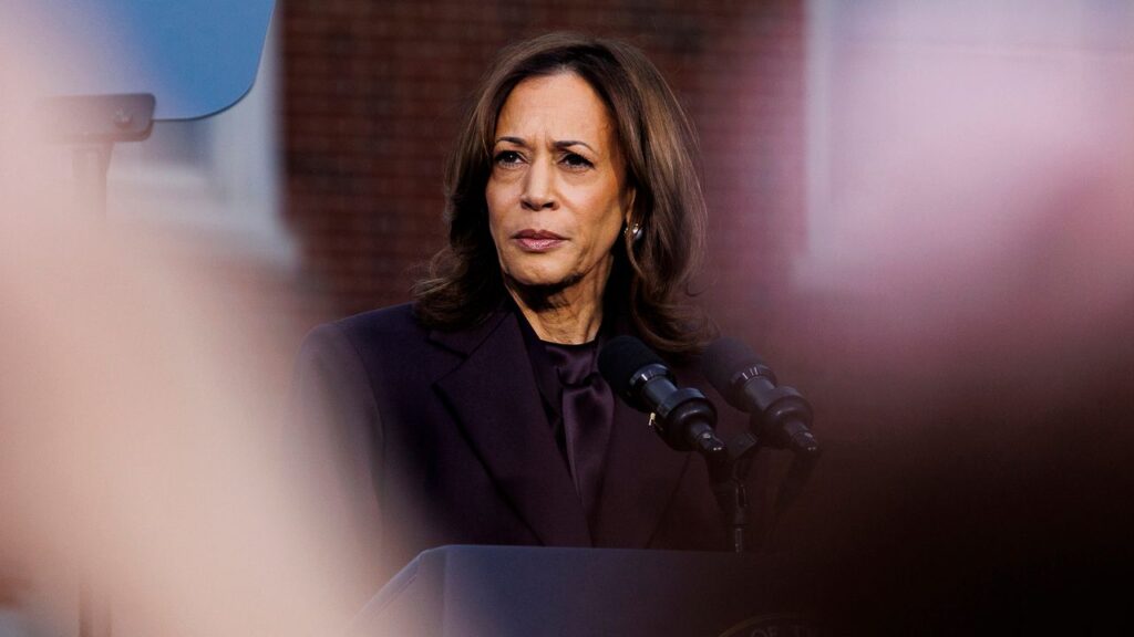 Who Can Lead the Democrats?