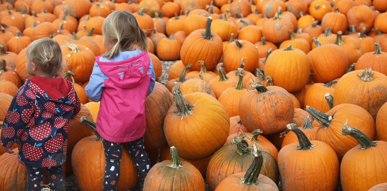 Pumpkins’ journey from ancient food staple to spicy fall obsession spans thousands of years